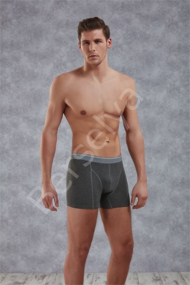 Doreanse Elegant Likralı Erkek  Boxer 1756