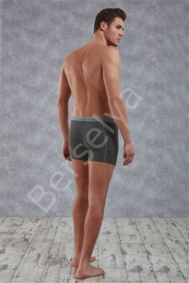 Doreanse Elegant Likralı Erkek  Boxer 1756