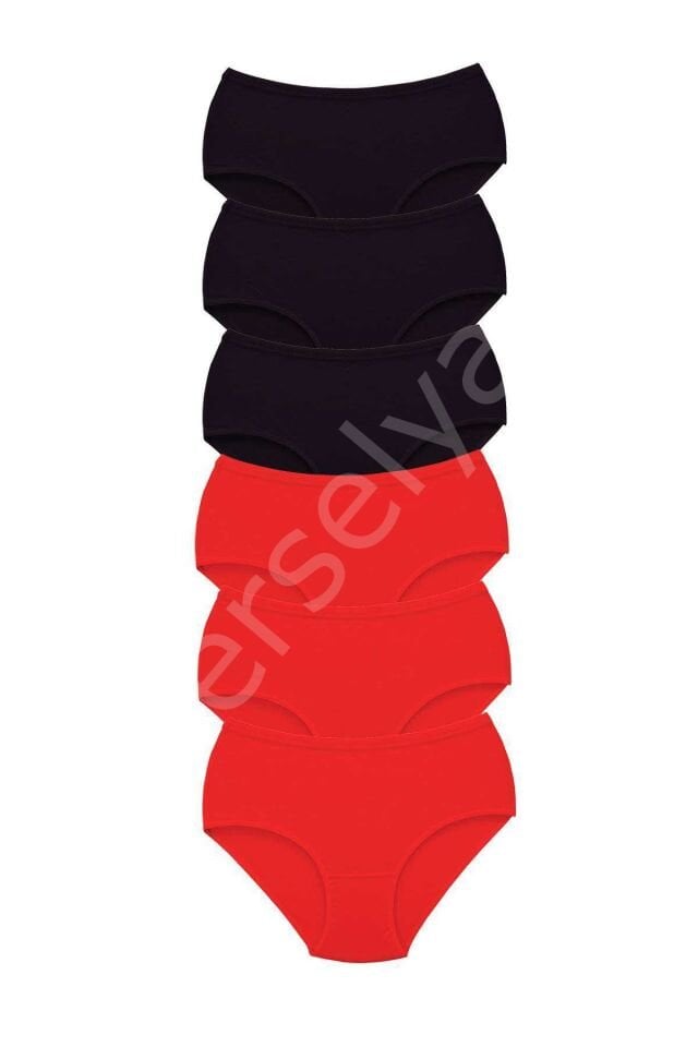 6 Adet Tutku Kadın Yüksek Bel Bato Kalın Lastik Külot S1