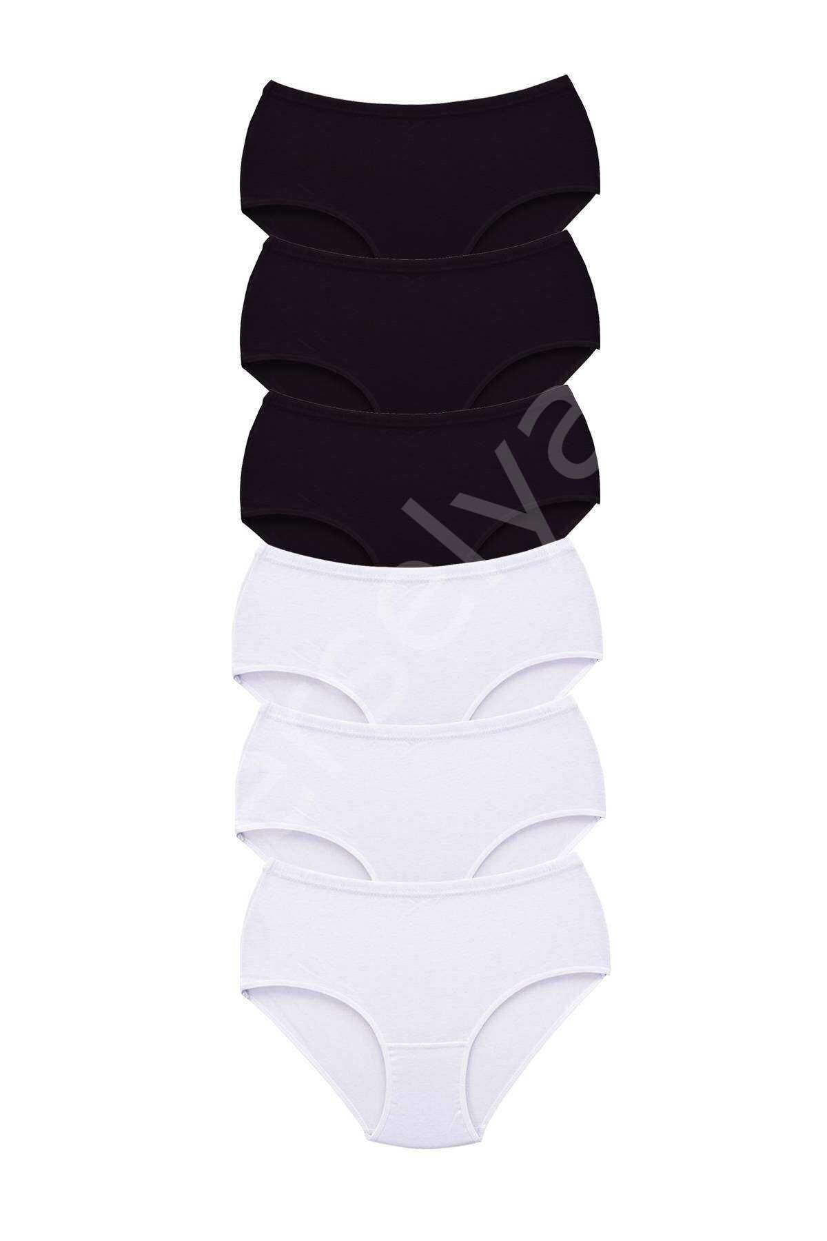 6 Adet Tutku Kadın Yüksek Bel Bato Kalın Lastik Külot S4