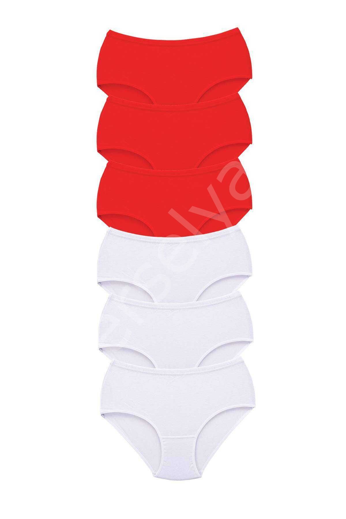 6 Adet Tutku Kadın Yüksek Bel Bato Kalın Lastik Külot S7