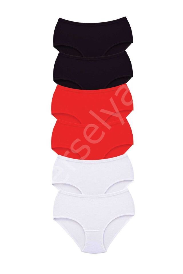 6 Adet Tutku Kadın Yüksek Bel Bato Kalın Lastik Külot S13