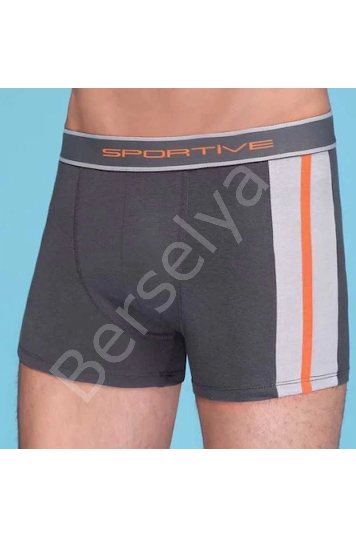 Erkek  Modal Boxer 1080