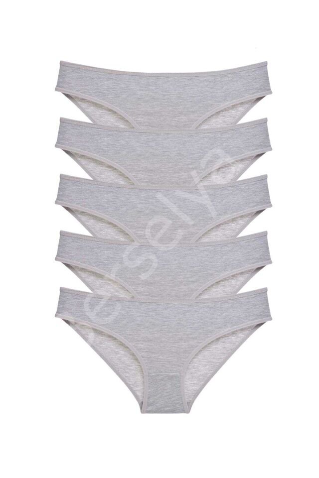 5 Adet Süper Eko Set Likralı Kadın Slip Külot Gri