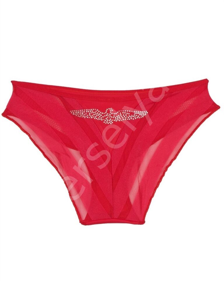 X-lady Bikini Külot 504