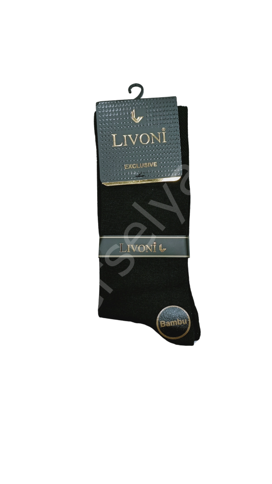 Livoni Dikişsiz Erkek Çorap