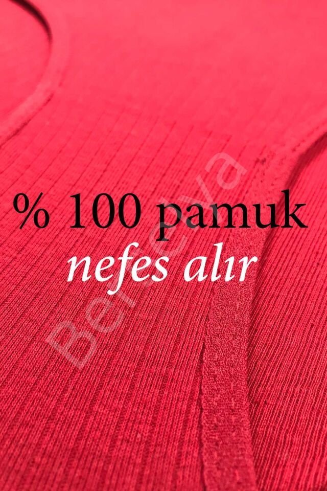 4 Adet Kadın Yüksek Bel Ribana Bato Külot S042