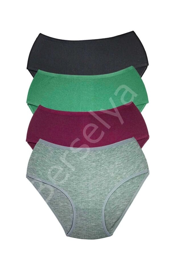 4 Adet Kadın Yüksek Bel Ribana Bato Külot S042