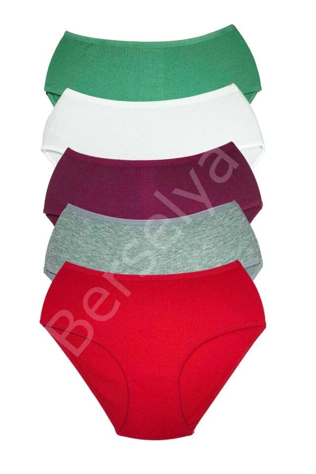 5 Adet Kadın Yüksek Bel Ribana Bato Külot S044