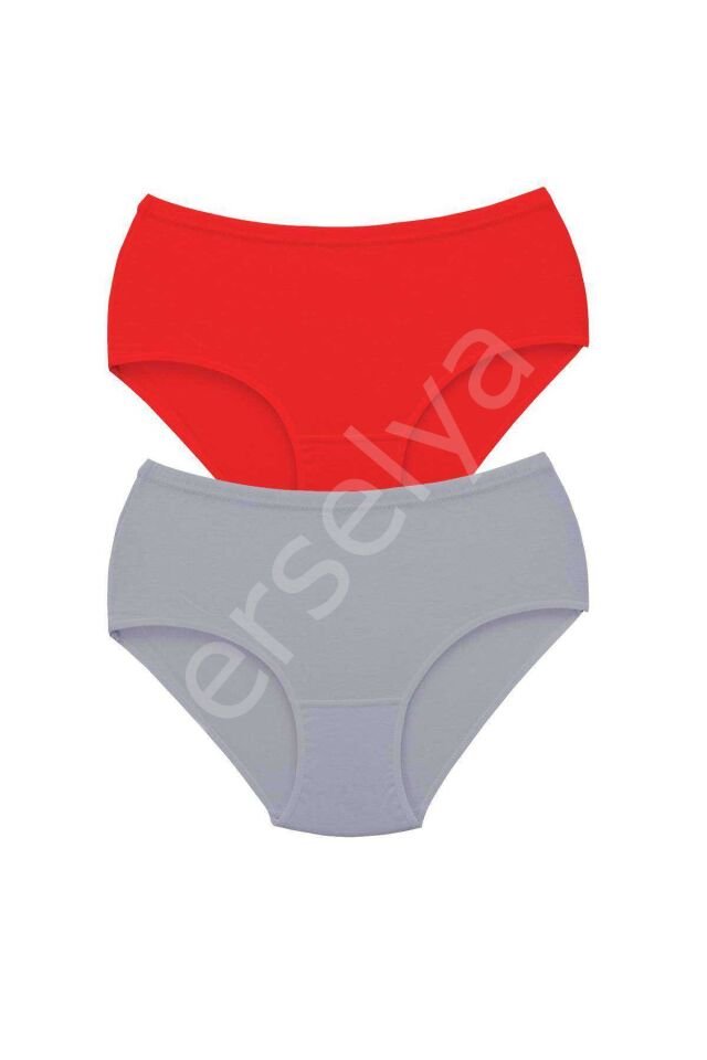 2 Adet Tutku Kadın Yüksek Bel Bato Kalın Lastik Külot S6