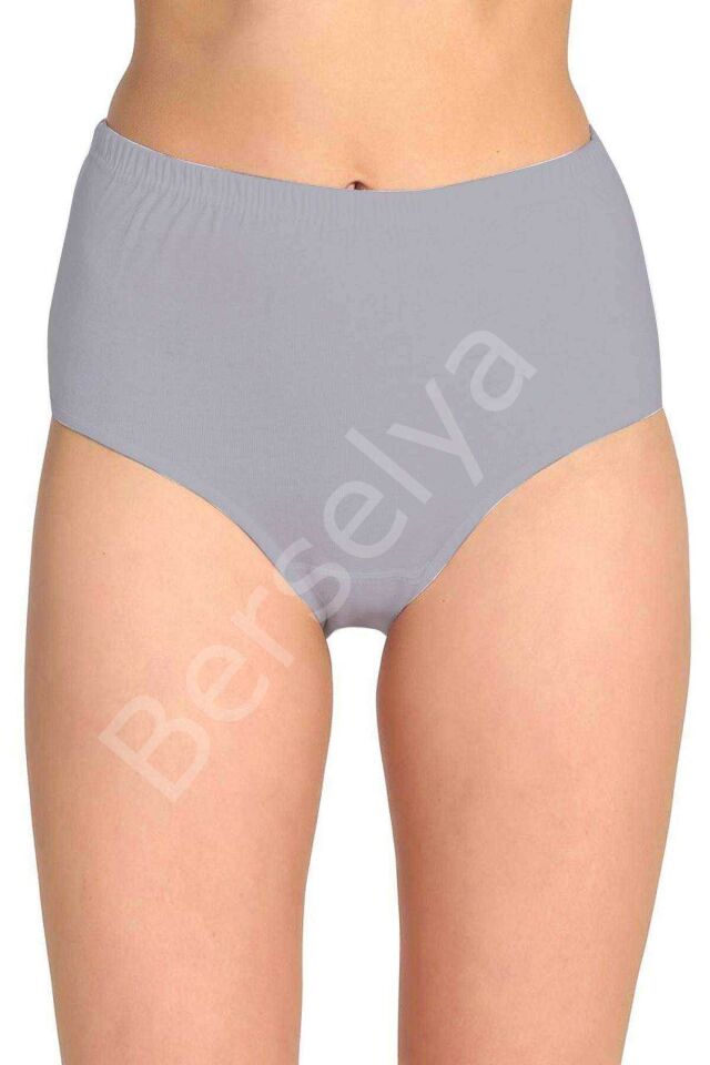 2 Adet Tutku Kadın Yüksek Bel Bato Kalın Lastik Külot S10