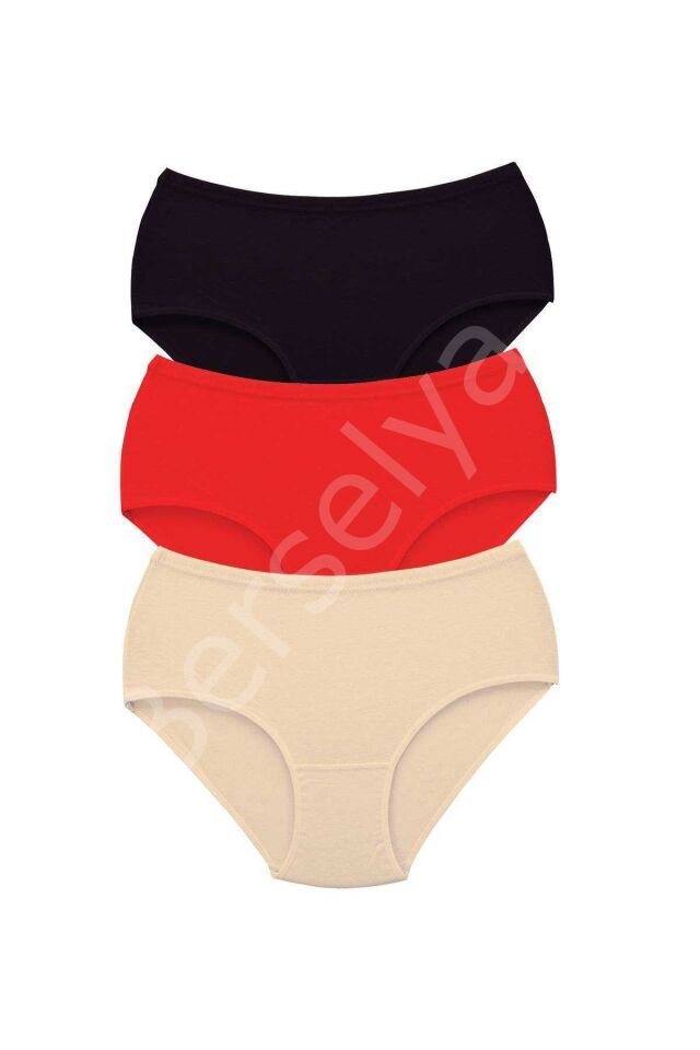 3 Adet Tutku Kadın Yüksek Bel Bato Kalın Lastik Külot S1