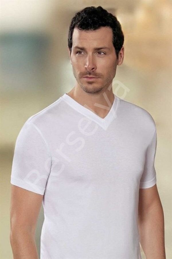 Şahinler V Yaka Erkek  Penye E008