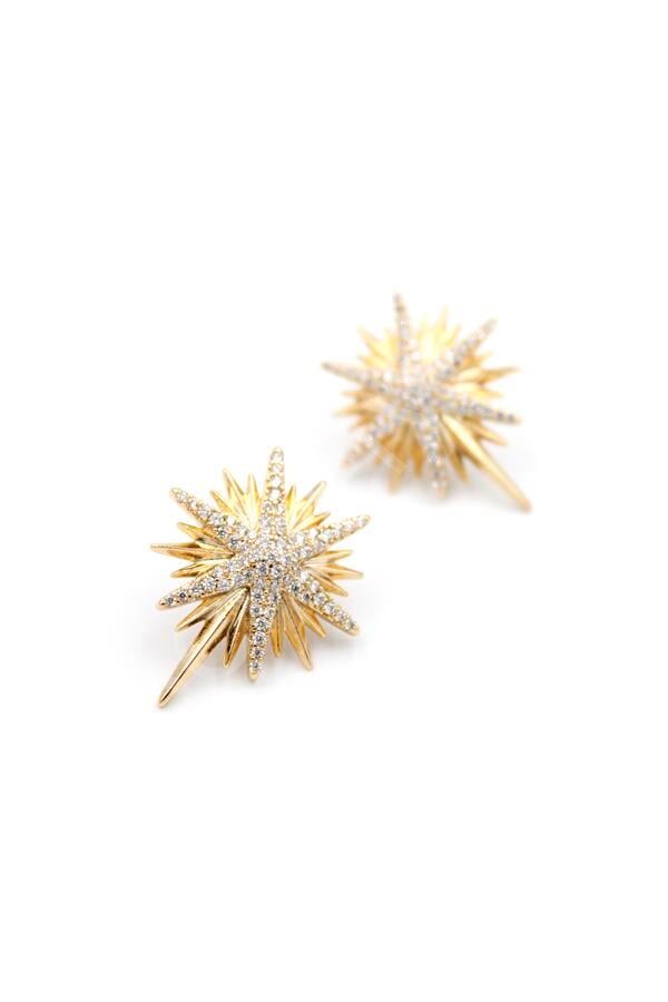 Kuzey Yıldızı Küpe - Rose