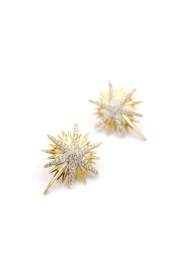 Kuzey Yıldızı Küpe - Rose