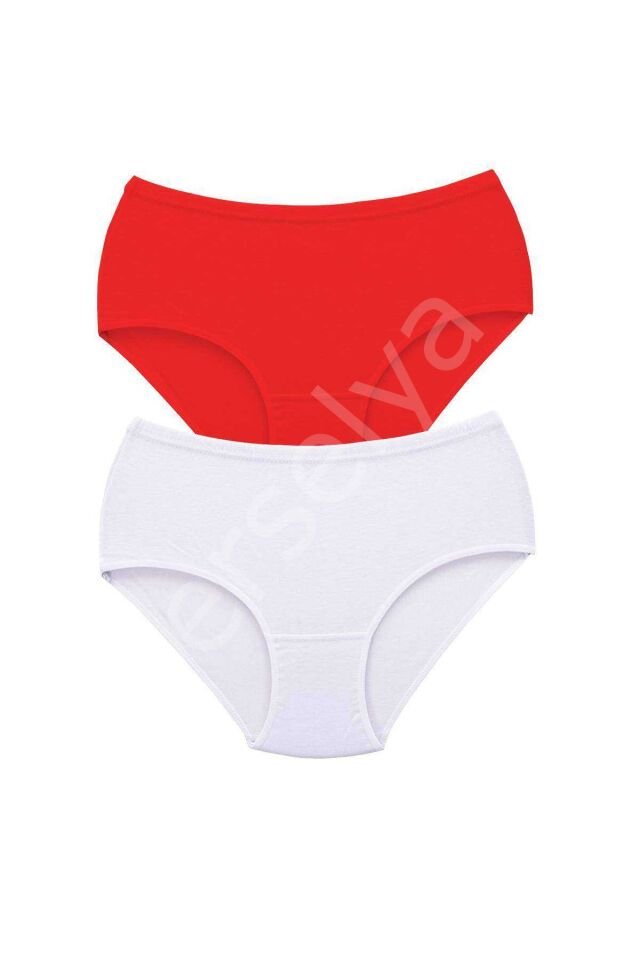 2 Adet Tutku Kadın Yüksek Bel Bato Kalın Lastik Külot S7