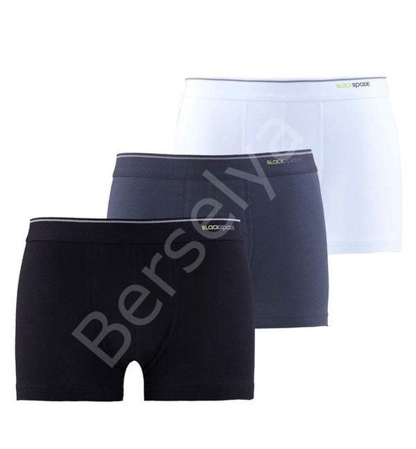 Blackpade Erkek  3lü Boxer 9670