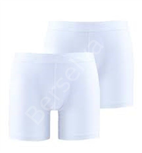 Blackpade Erkek  Boxer 9324