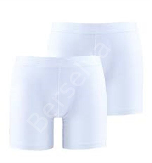 Blackpade Erkek  Boxer 9324