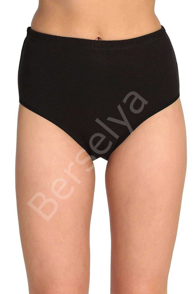 3 Adet Tutku Kadın Yüksek Bel Bato Kalın Lastik Külot S6