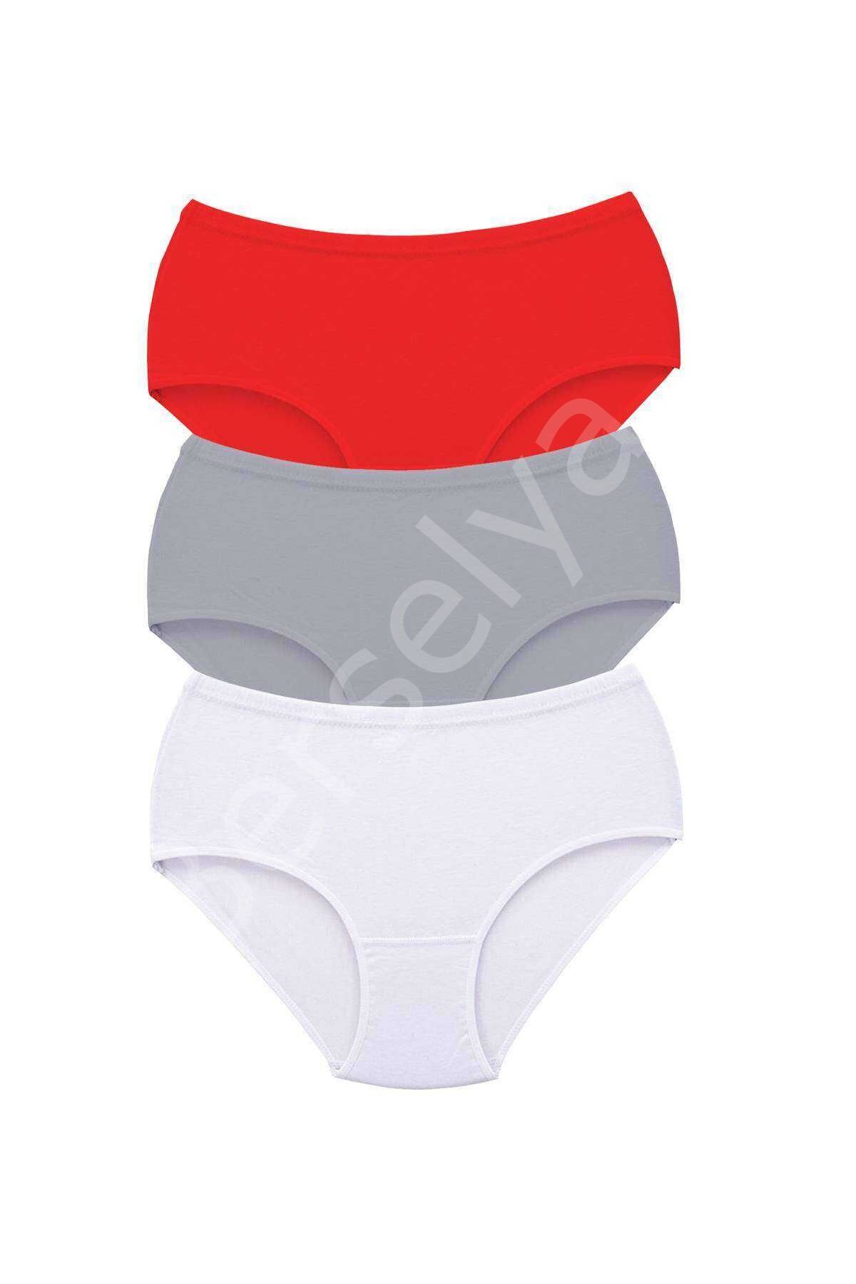 3 Adet Tutku Kadın Yüksek Bel Bato Kalın Lastik Külot S9