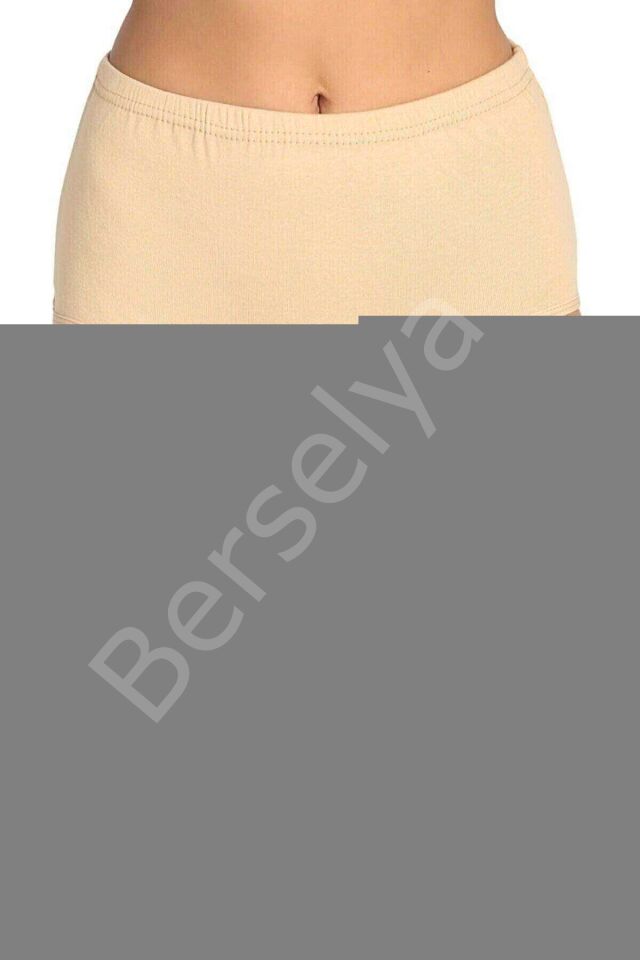 3 Adet Tutku Kadın Yüksek Bel Bato Kalın Lastik Külot S10