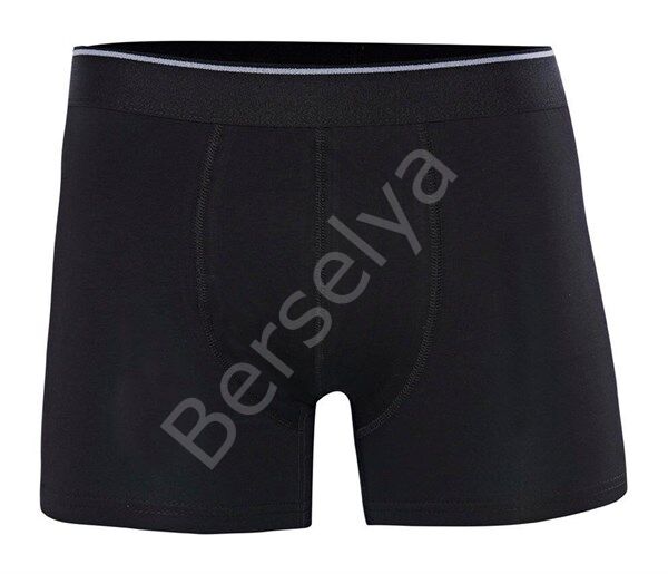 Işıl Erkek  Likralı Boxer