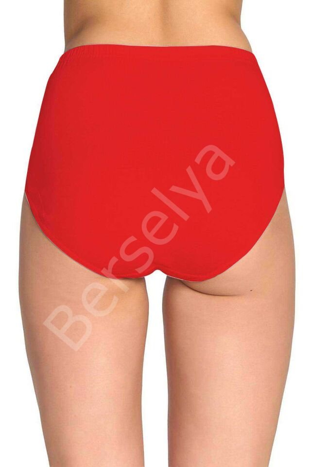 4 Adet Tutku Kadın Yüksek Bel Bato Kalın Lastik Külot S1