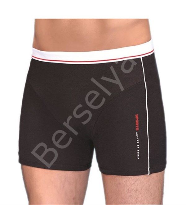 Berrak Erkek  Modal Silva Boxer 1078