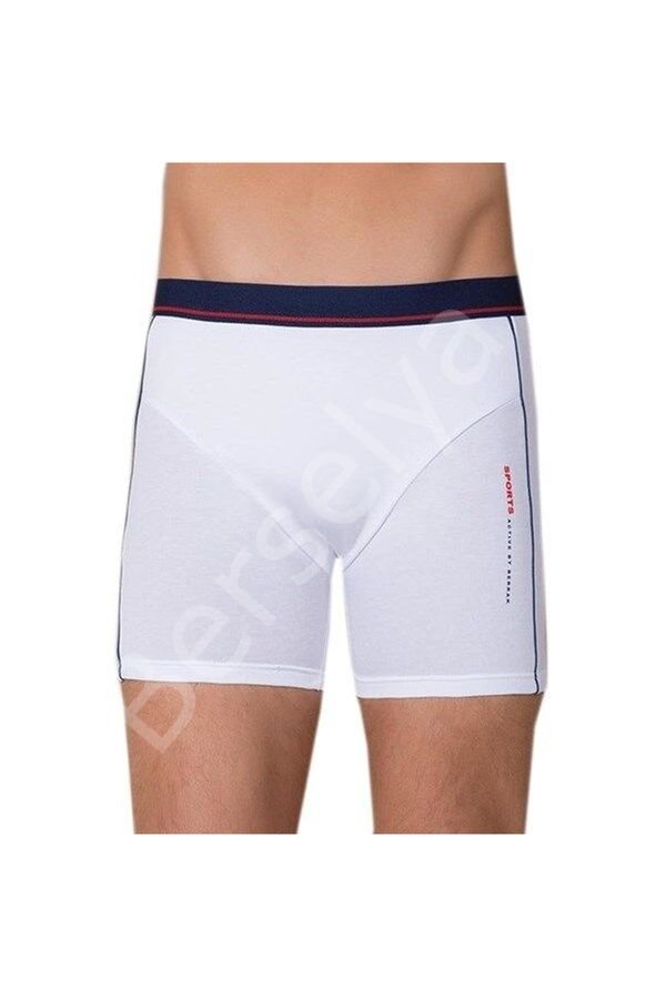Berrak Erkek  Modal Silva Boxer 1078