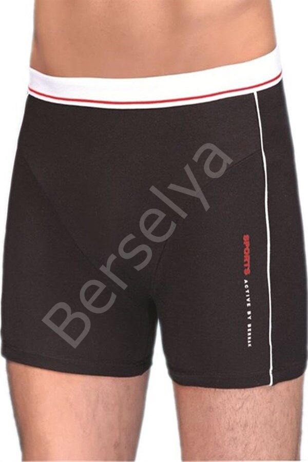 Berrak Erkek  Modal Silva Boxer 1078