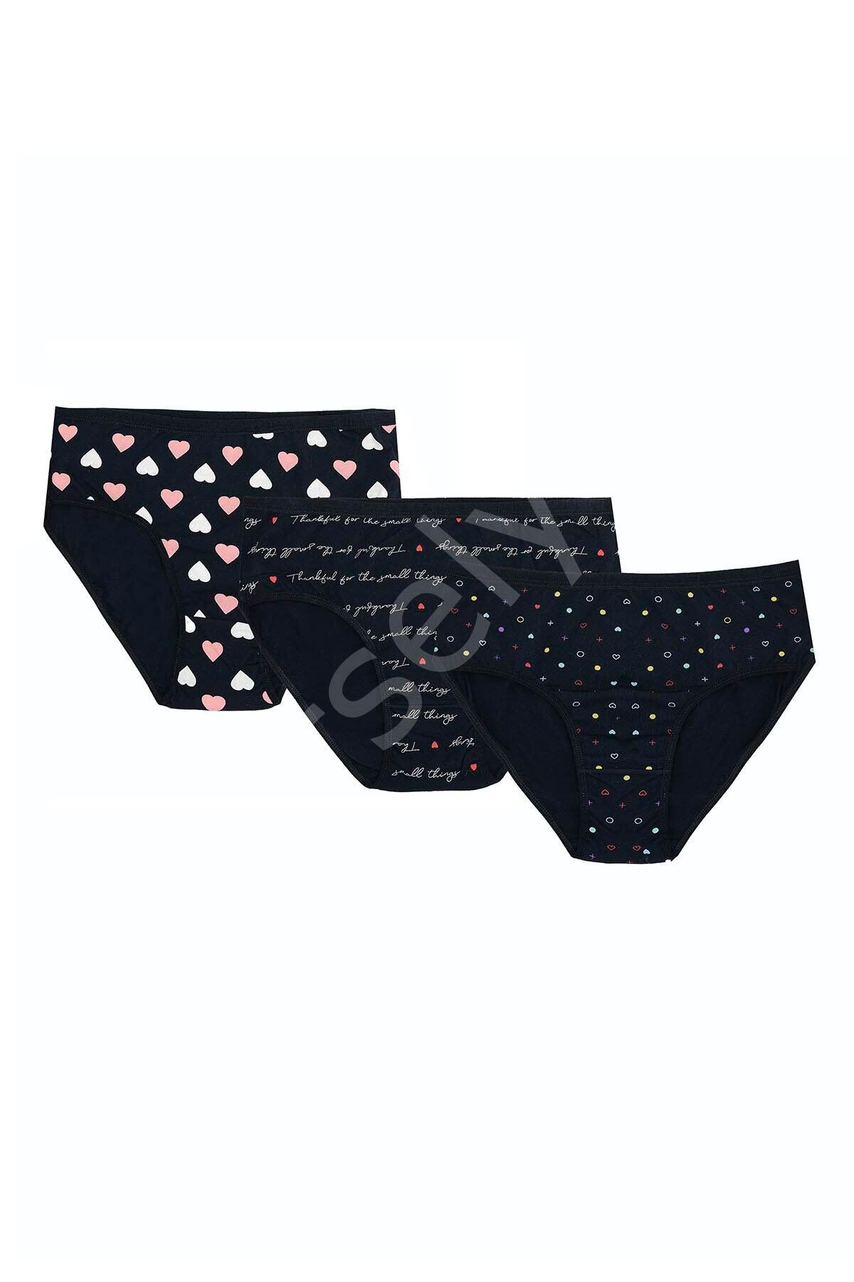 Büyük Beden Pamuklu Likralı Karışık Renkli 3'lü Külot