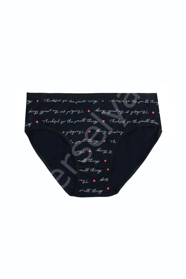 Büyük Beden Pamuklu Likralı Karışık Renkli 3'lü Külot