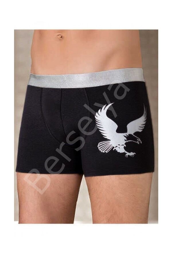 Berrak Erkek  Eagle Boxer 1091