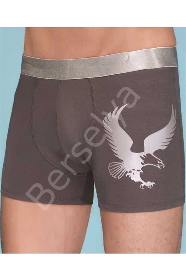 Berrak Erkek  Eagle Boxer 1091
