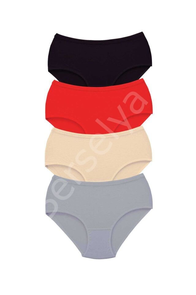 4 Adet Tutku Kadın Yüksek Bel Bato Kalın Lastik Külot S11