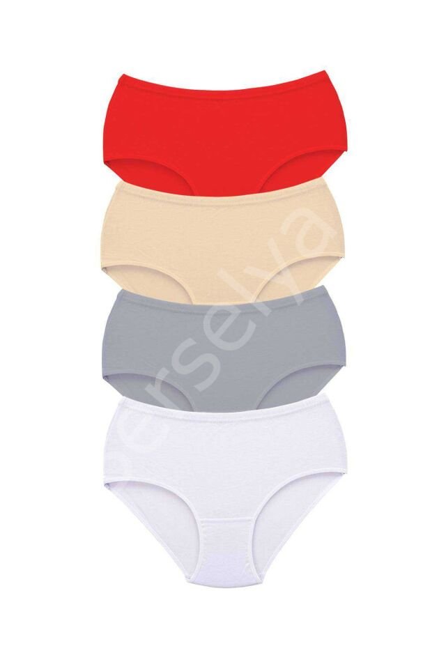 4 Adet Tutku Kadın Yüksek Bel Bato Kalın Lastik Külot S13