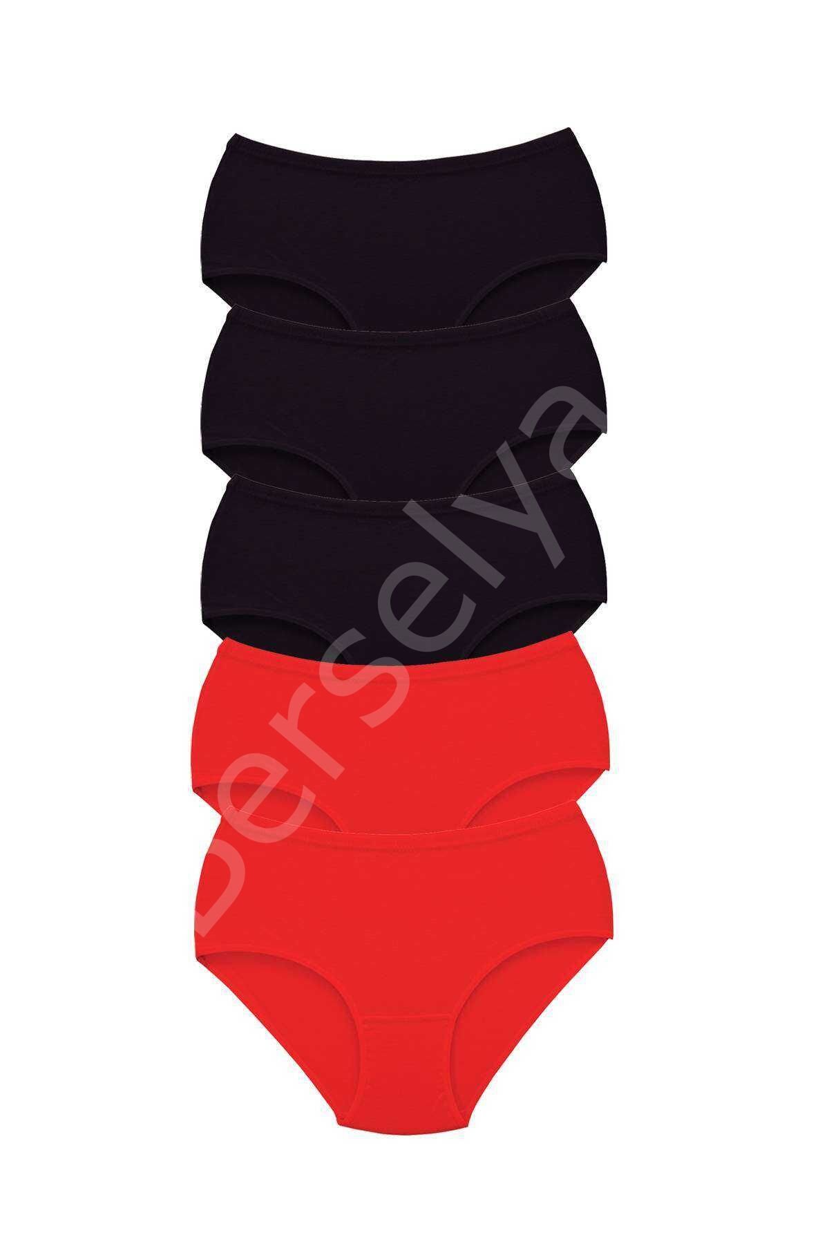 5 Adet Tutku Kadın Yüksek Bel Bato Kalın Lastik Külot S2