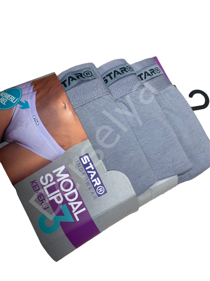 Star 109 Erkek 3'lü Modal Slip