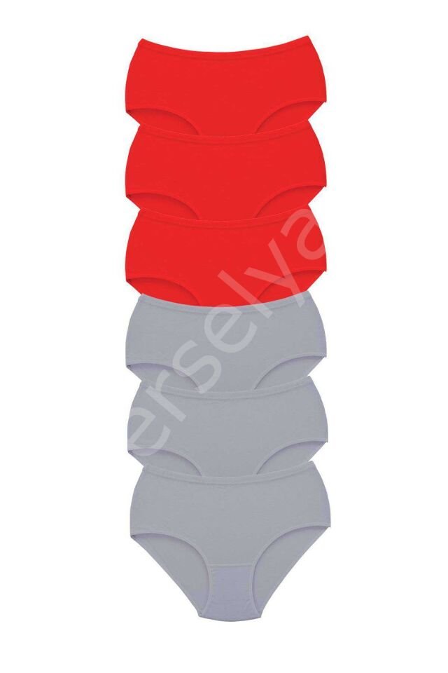 6 Adet Tutku Kadın Yüksek Bel Bato Kalın Lastik Külot S6